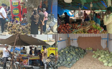 திருப்பத்தூரில் நுங்கு, இளநீர் வியாபாரம் படுஜோர்.. பழக்கடைகளில் குவியும் மக்கள்..