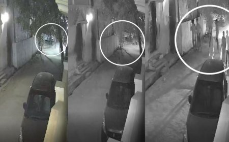 ஒத்தக்கடையில் மீண்டும் ஒரு சம்பவம்...  இரவில் உலாவும் அரக்கர்கள்..  வெளியே செல்லவே அஞ்சும் மக்கள்