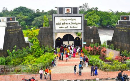 சிங்கம், புலி பார்க்க போற குட்டீஸ்களுக்கு குட் நியூஸ்.. வண்டலூர் பூங்காவுக்கு செவ்வாய்கிழமை நோ லீவு
