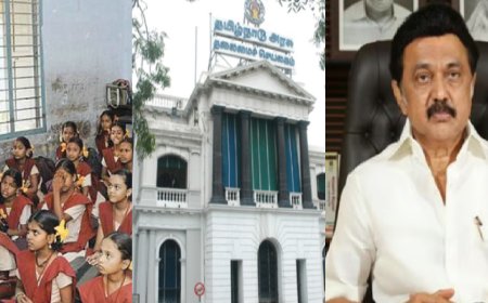 Exclusive: மந்த கதியில் மாநில கல்விக் கொள்கை திட்டம்..  தமிழ்நாடு அரசு அமல்படுத்த தயங்குவது ஏன்?