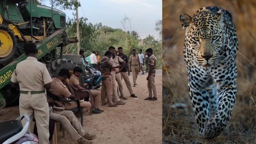 அச்சுறுத்தும் சிறுத்தை...  அச்சத்தில் மக்கள்... 9 பள்ளிகளுக்கு விடுமுறை...