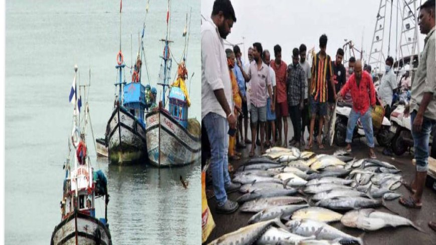 தமிழ்நாட்டில் ஏப்ரல் 15 முதல் மீன்பிடி தடைக்காலம் அமல்..  மீனவர்களுக்கு ரெஸ்ட்.. மீன்கள் விலை உயருமா?