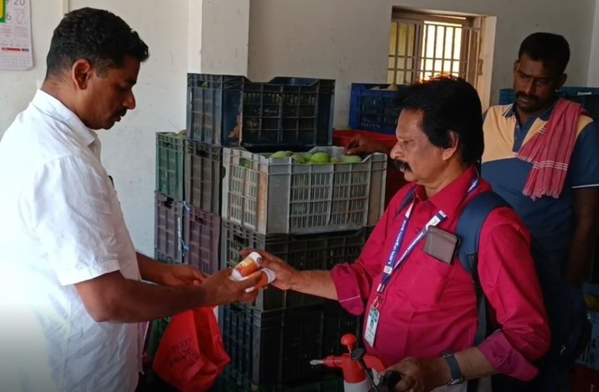 "பினாயில் வாங்கிட்டு வாங்க"   ஆஃபிசர்கள் அதிரடி..!  ஆயிரம் கிலோ மாம்பழங்கள் அழிப்பு