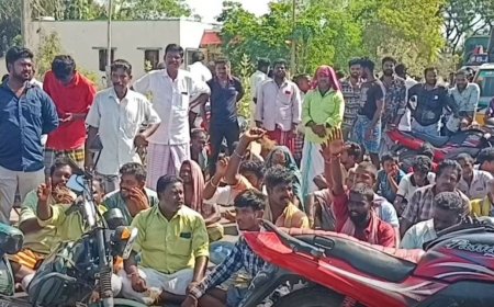 ஓயாத மின் வெட்டு.. கருகும் நெற்பயிர்கள்.. கவலையில் விவசாயிகள்..  மும்முனை மின்சாரம் வழங்க கோரி மறியல்