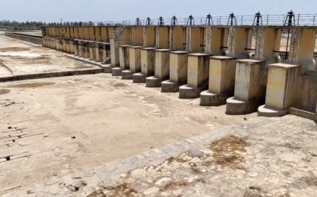 சுட்டெரிக்கும் கோடை வெயில்... வற்றிப்போன பாலாறு அணைக்கட்டு... கருகும் பயிர்... வேதனையில் விவசாயிகள்