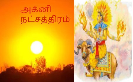 அக்னி நட்சத்திரம்.. அனலை கக்கும்..  கோடை கால நோய்களில் இருந்து தப்பிக்க என்ன பரிகாரம் செய்யலாம்?