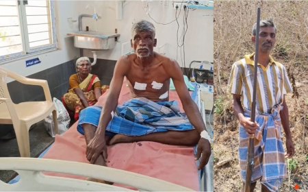 சொத்து தகராறு.. துப்பாக்கியை தூக்கிய பங்காளி... பதுங்கியவரை பட்டி பார்த்து தூக்கிய திருப்பத்தூர் போலீஸ்