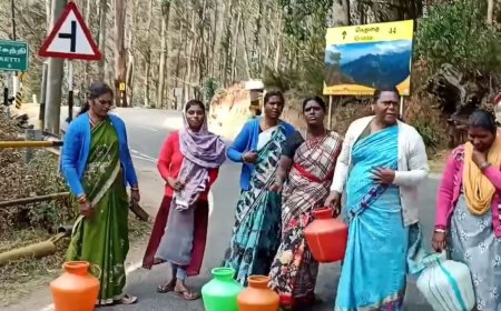 30 ஆண்டுகளுக்குப் பின் வறட்சி.. வறண்டு போன குந்தா அணை.. கோவை, நீலகிரியில் தலைதூக்கும் குடிநீர் பிரச்சினை