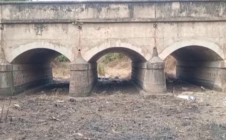 மேம்பாலத்துக்கு அடியில் ஒரே நாற்றம்.. எட்டிப் பார்த்தால் வரிசையில் சடலங்கள்... அதிர்ச்சியான சேலம் மக்கள்