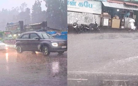 உதகை குளிர்ந்தது.. திடீர் மழையால் ஜாலி மூடில் சுற்றுலா பயணிகள்..