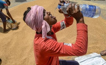 உயிரை பறித்த வெப்ப அலை... வடமாநில தொழிலாளி பரிதாப பலி !