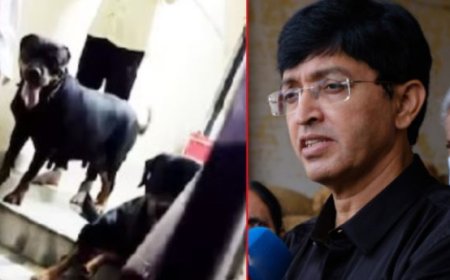 சிறுமியை கடித்து குதறிய நாய்கள்.. உரிமையாளர் கைது.. சென்னை மாநாகராட்சி ஆணையர் புது உத்தரவு