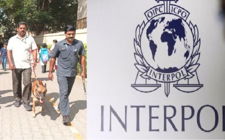 பாம் வெடிக்கும்… பள்ளிகளை வெல வெலக்க வைத்த மர்ம நபர் யார்?.. 500 நபர்களுக்கு சென்னை போலீஸ் ஸ்கெட்ச்