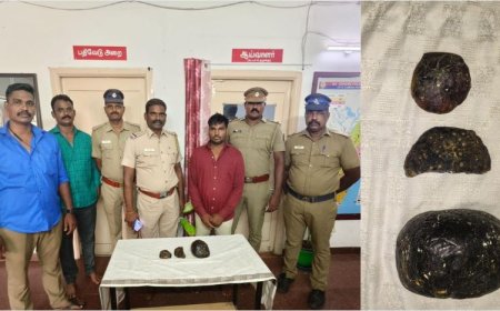 ரூ.1 கோடி திமிங்கல எச்சம்.. நாகர்கோவிலில் இருந்து சென்னைக்கு கடத்தி வந்தவர் கைது