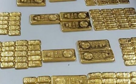 இலங்கையில் இருந்து இந்தியாவுக்கு கடத்தி வரப்பட்ட ரூ.4.5 கோடி மதிப்பிலான தங்கம் ! முக்கிய புள்ளி கைது !