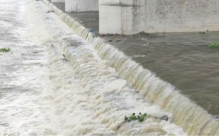 வைகையில் பெருகிய வெள்ளம்.. கரை புரண்டு ஓடும் தண்ணீர்.. 5 மாவட்டங்களுக்கு  எச்சரிக்கை