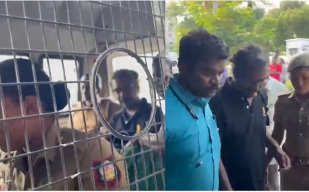 கணவர் உயிருக்கு ஆபத்து.. கண்ணீர் விட்ட மனைவி.. சென்னைக்கு அழைத்து வரப்பட்ட பெலிக்ஸ் ஜெரால்டு