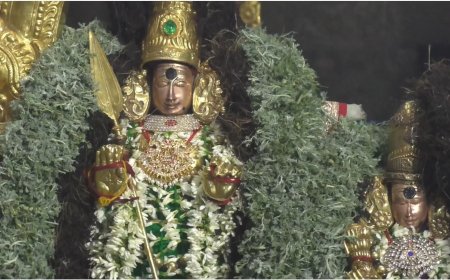 திருப்பரங்குன்றத்தில் வைகாசி விசாகம் விழா.. தெய்வானை சுப்பிரமணிய சுவாமிக்கு ஊஞ்சலில் தாலாட்டு