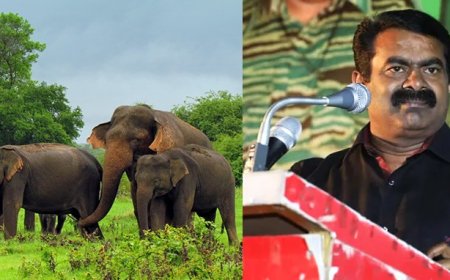 யானை வழித்தட திட்டம்....  மக்களை வெளியேற்ற முடிவா?.... கொந்தளிக்கும் சீமான்...