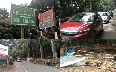 தொட்டபெட்டா செல்ல 7 நாட்களுக்கு தடை... வனத்துறை அறிவிப்பால் சுற்றுலா பயணிகள் சோகம்...