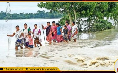 வெள்ளத்தில் தத்தளிக்கும் அசாம்... 35 பேர் உயிரிழப்பு... 1.61 லட்சம் மக்கள் பரிதவிப்பு!