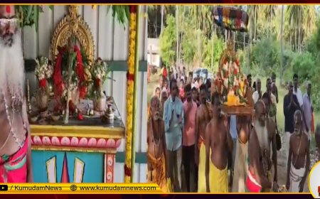 எதிரிகள் தொல்லை ஒழிக்கும் நரசிம்மர்... கீழப்பாவூா் நரசிம்மா் கோயிலில் ஆனி சுவாதி பூஜை