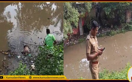 மயிலாப்பூர் ரயில் நிலையம் அருகே கூவம் ஆற்றில் மிதந்த சடலம்.. கொலையா? அதிர்ந்த சென்னை!