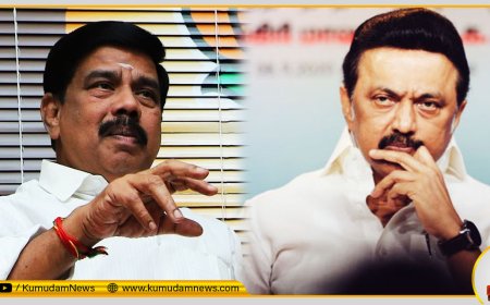 ஸ்டாலினை பற்றி பேசினால் கைது; பாஜகவை பற்றி பேசினால் வேடிக்கை - கரு நாகராஜன் குற்றச்சாட்டு