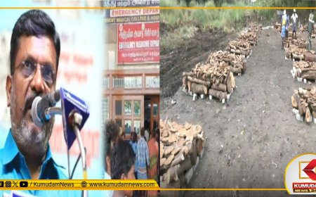 கள்ளக்குறிச்சி மரணங்கள்.. மவுனம் கலைத்த திருமாவளவன்.. ஜூன் 24ல் ஆர்பாட்டம்.. அரசுக்கு எதிராக பேசுவாரா?