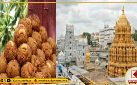 லட்டு விலை உயர்வா? ரூ.300 தரிசன டிக்கெட் விலையில் மாற்றமா?.. திருப்பதி திருமலை தேவஸ்தானம் சொல்வதென்ன?