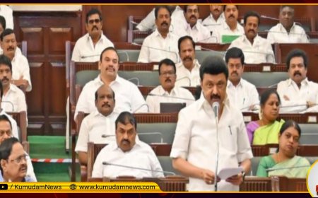 சாதிவாரி கணக்கெடுப்பு கேட்பது ஏன்?.. சட்டசபையில் முதல்வர் ஸ்டாலின் அடுக்கிய காரணங்கள்.. தமிழக அரசு தீர்மானம்