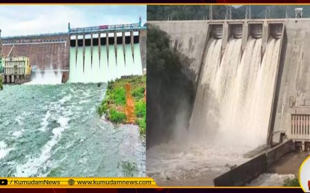 கொட்டித்தீர்க்கும் தென்மேற்கு பருவமழை.. ஆர்ப்பரித்து கொட்டும் அருவிகள்.. நிரம்பி வழியும் அணைகள்