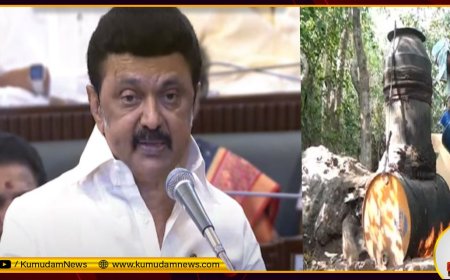 தமிழ்நாட்டில் இனி கள்ளச்சாராயம் விற்றால் ஆயுள்தண்டனை.. ரூ.10 லட்சம் அபராதம்.. முதல்வர் ஸ்டாலின்