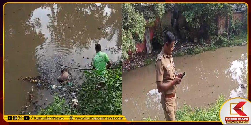 மயிலாப்பூர் ரயில் நிலையம் அருகே கூவம் ஆற்றில் மிதந்த சடலம்.. கொலையா? அதிர்ந்த சென்னை!