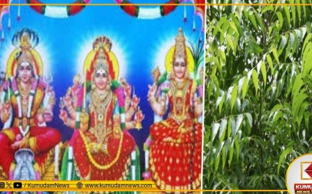 சிவன் சக்தியோடு ஐக்கியமான ஆடி மாதம்.. வேப்ப மரம் பூமியில் உருவான புராண கதை தெரியுமா?