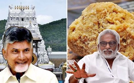 லட்டு சத்தியம் செய்வாரா முதலமைச்சர்? சந்திரபாபுவிற்கு சவால்விடும் TTDயின் முன்னாள் தலைவர்!