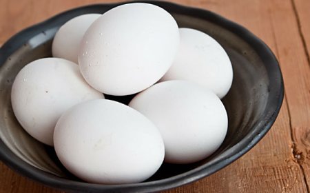 சத்துணவு முட்டைகளை வாங்கிப் பயன்படுத்திய உணவகத்துக்கு சீல்