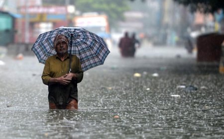 தமிழ்நாட்டின் 3 மாவட்டங்களில் கன மழை பெய்யும் - வானிலை ஆய்வு மையம் தகவல்