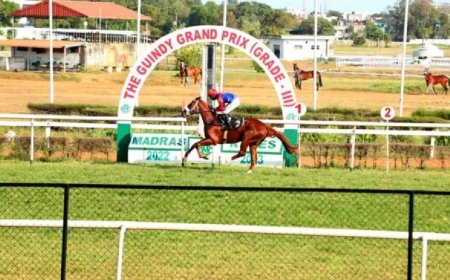 கிண்டி ரேஸ் கிளப் வழக்கு.. பட்டென பறந்த உத்தரவு