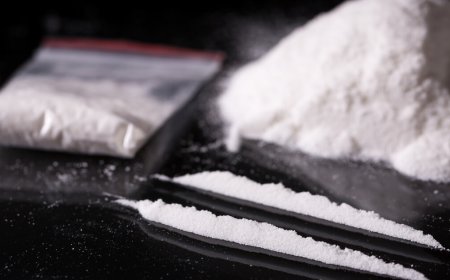 ஆஸ்திரேலியாவுக்கு கடத்தவிருந்த 112 கிலோ போதைப்பொருள் பறிமுதல்