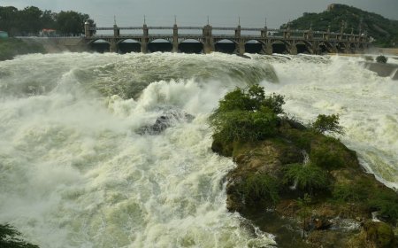 காவிரி உபரி நீரை மாதாந்திர நீருடன் சேர்க்கக் கூடாது - மணிவாசன் பேட்டி 