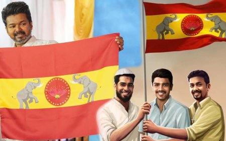 தவெக கொடி பயன்படுத்த தடையா? தேர்தல் ஆணையம் சொன்ன பதில் என்ன?