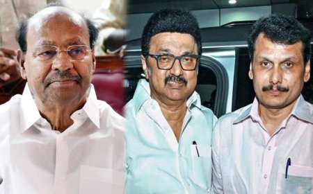 ”செந்தில் பாலாஜிக்கு முதலமைச்சர் வழக்கறிஞராகக் கூடாது!” – ராமதாஸ் காட்டம்