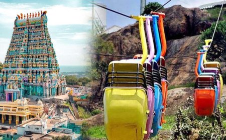 பழனியில் ரோப் கார் சேவை நிறுத்தம்... 40 நாட்கள் இயங்காதாம்..!