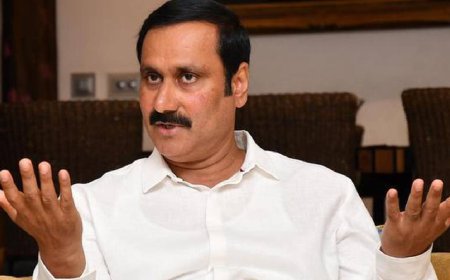 "கலைஞர்  நூற்றாண்டு  பூங்கா நுழைவுக் கட்டணத்தைக் குறைக்க வேண்டும்!"