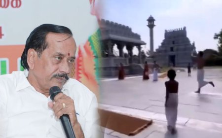 சிதம்பரம் கோவில் தீட்சிதர்கள் கிரிக்கெட் விளையாடியது தவறில்லை- எச்.ராஜா