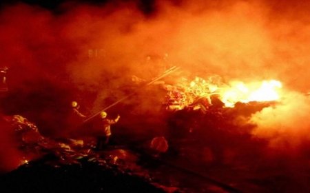 பட்டாசு ஆலை வெடி விபத்தில் இந்த ஆண்டில் 52 பேர் உயிரிழப்பு