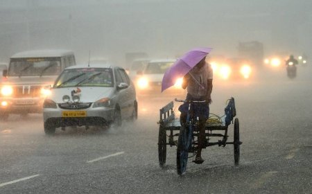 பல்வேறு பகுதிகளில் வெளுத்து வாங்கிய கனமழை...