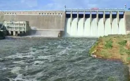 தீவிரமடையும் வடகிழக்கு பருவமழை..  அணைகளுக்கு நீர் வரத்து அதிகரிப்பு