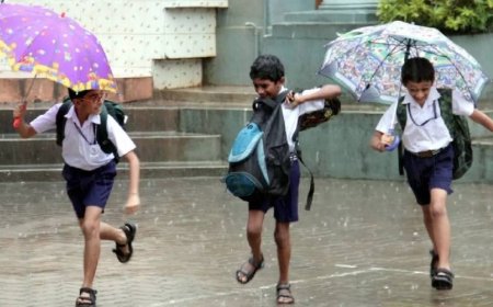 கனமழை.. எந்தெந்த மாவட்டங்களுக்கு விடுமுறை?